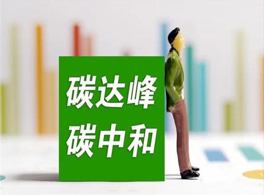 中國(guó)“雙碳”目標(biāo)下如何平衡發(fā)展與減排？